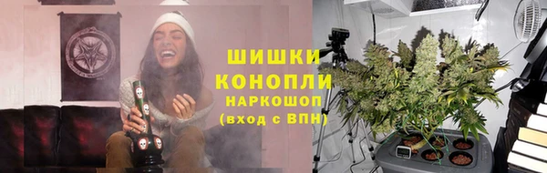 первитин Гусиноозёрск