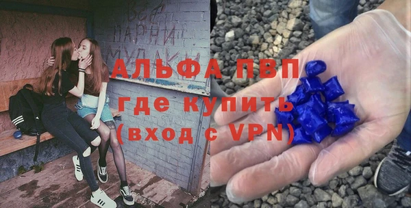 альфа пвп Гусев