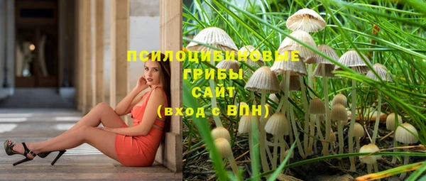 герыч Гусь-Хрустальный