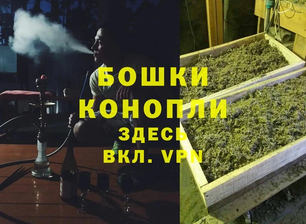 первитин Гусиноозёрск